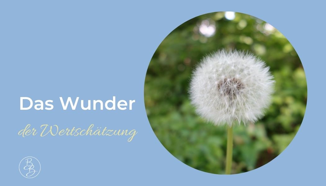 Das Wunder der Wertschätzung